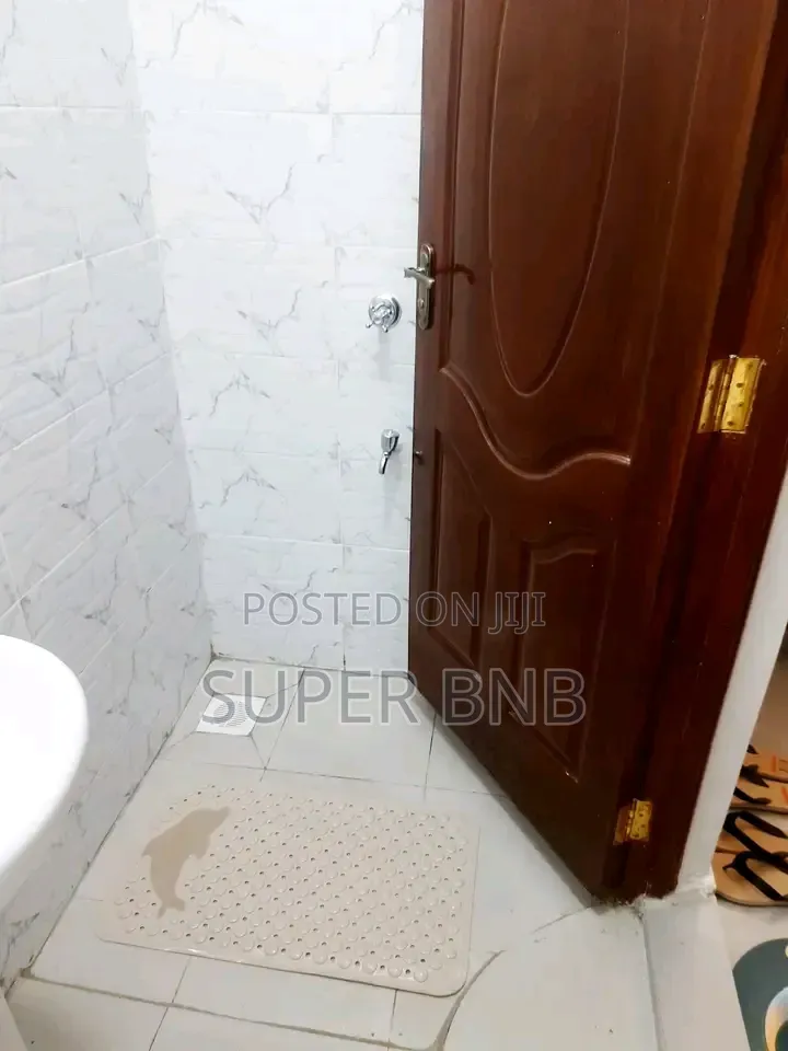 Furnished Studio One Bedroom Apartments South B