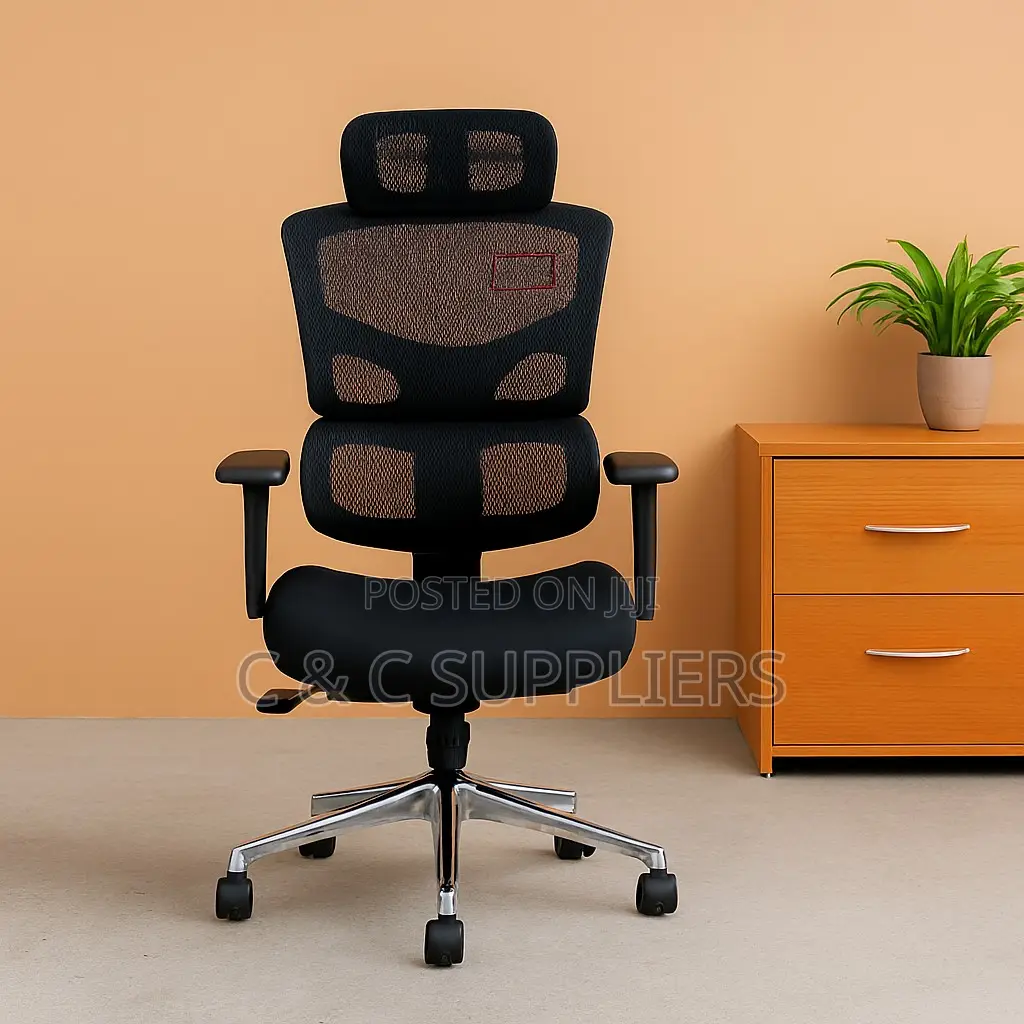 Adjustable Orthopedic Chair.