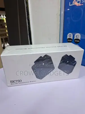 Sk750 Premium Wireless Microphone for Stage Performances