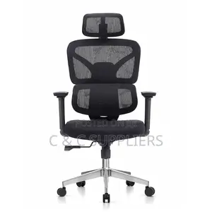 Adjustable Orthopedic Chair.