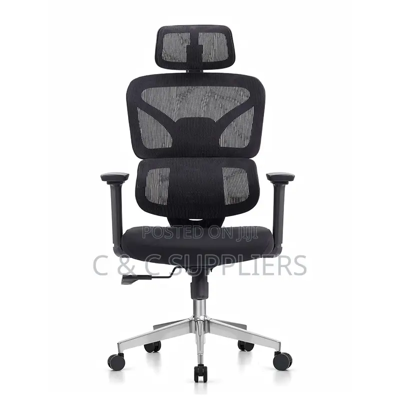 Adjustable Orthopedic Chair.