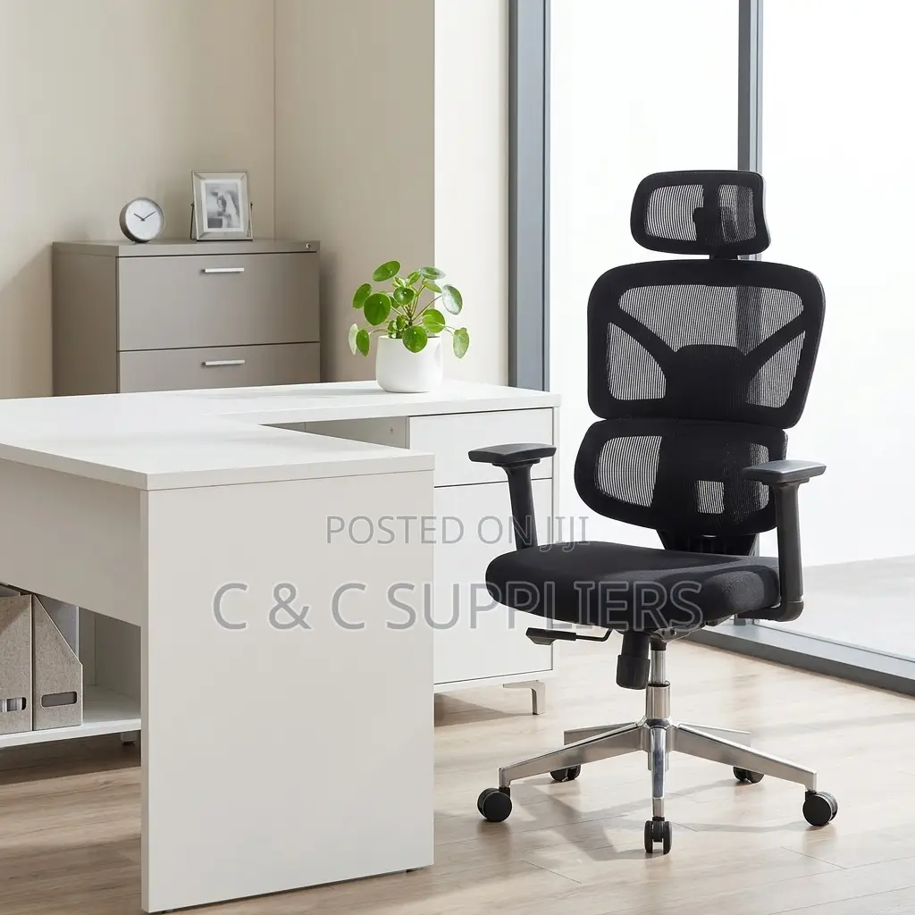 Adjustable Orthopedic Chair.