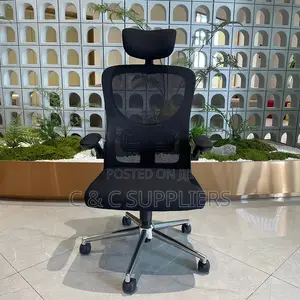 Ergonomic Desk Mesh Chair.