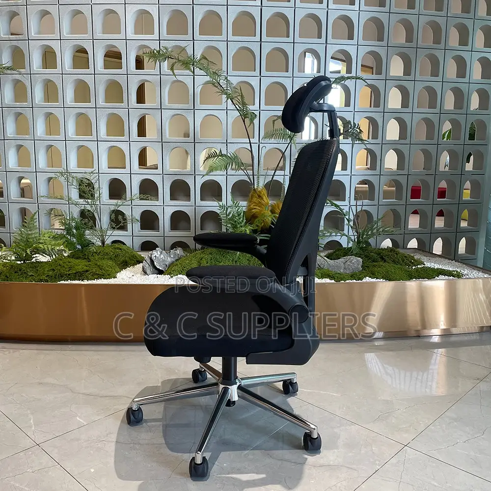 Ergonomic Desk Mesh Chair.