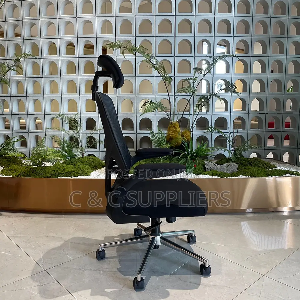 Ergonomic Desk Mesh Chair.