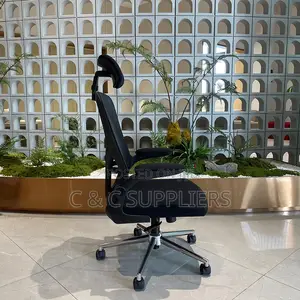 Ergonomic Desk Mesh Chair.