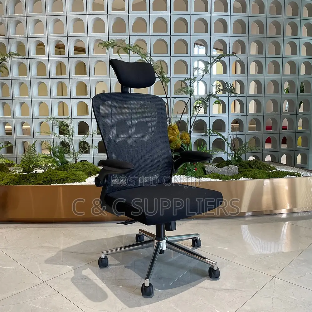 Ergonomic Desk Mesh Chair.