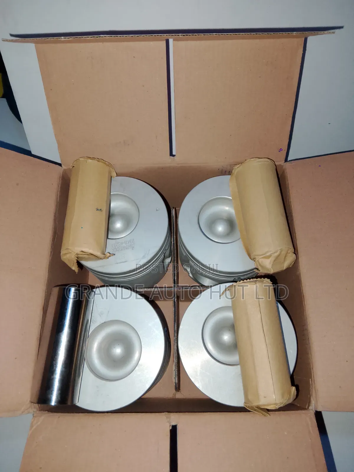 Pistons and Pin Hyundai Hd72 (Autotex)