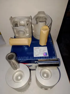 Pistons and Pin Hyundai Hd72 (Autotex)