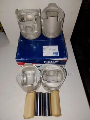 Pistons and Pin Hyundai Hd72 (Autotex)
