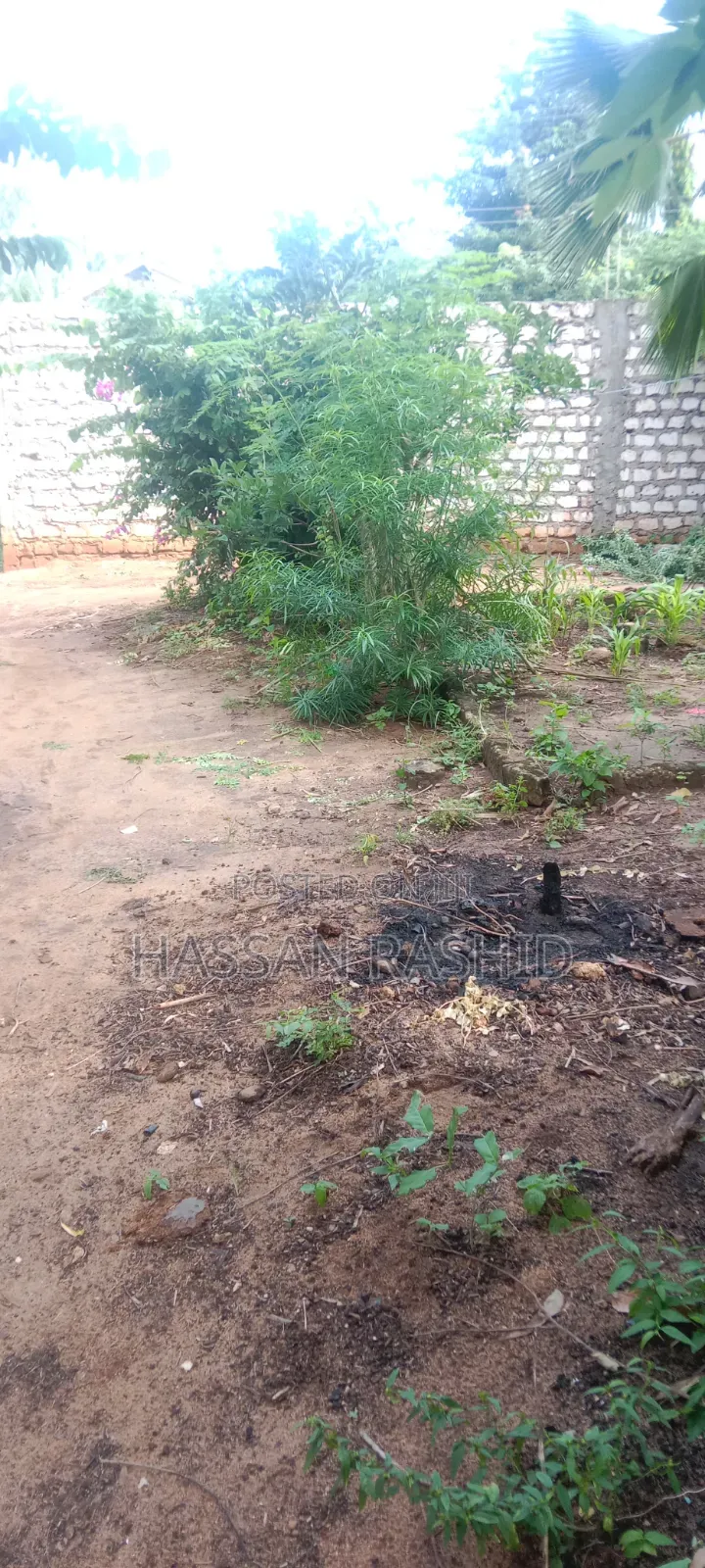 Residential Malindi Plot for Sale 50by100 Good Pricing Affordable.