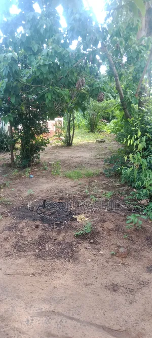 Residential Malindi Plot for Sale 50by100 Good Pricing Affordable.