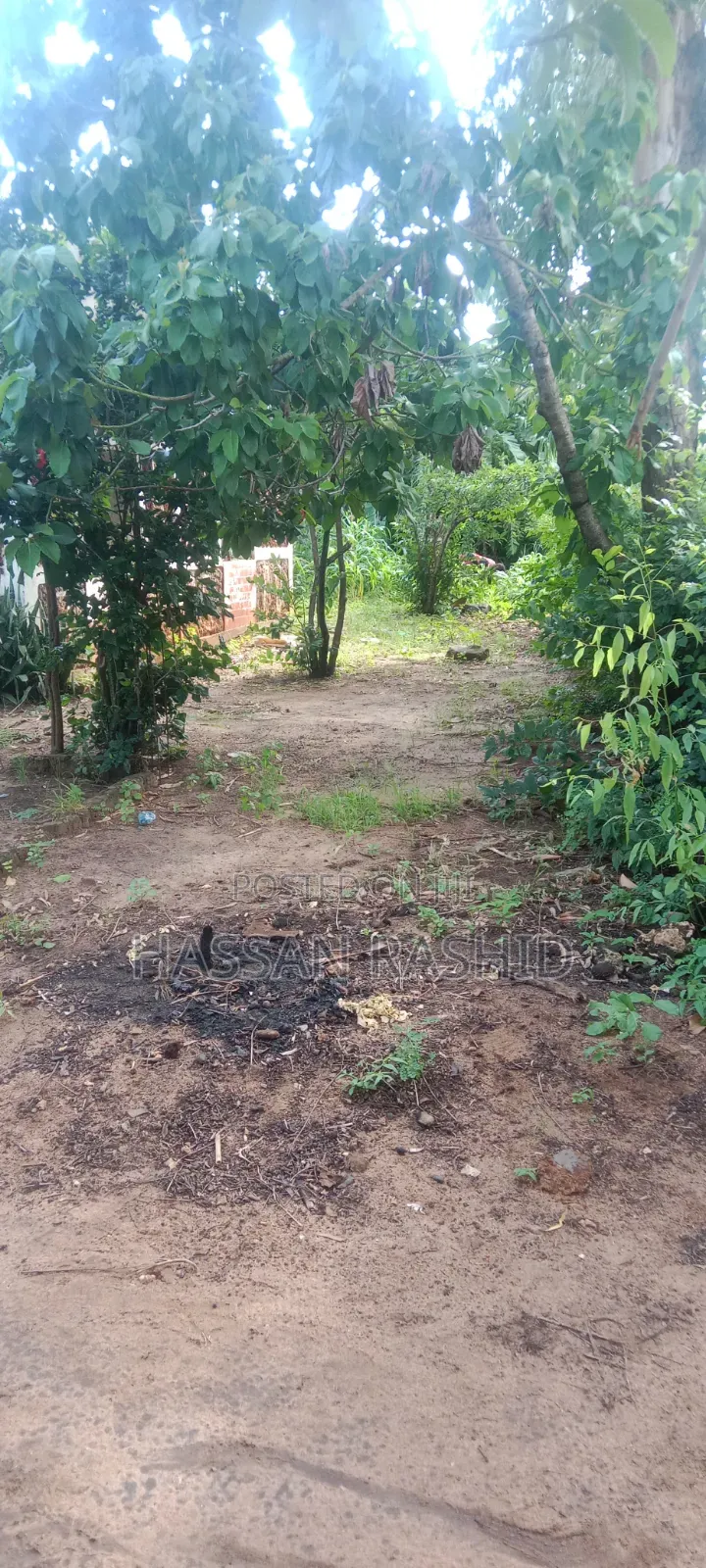 Residential Malindi Plot for Sale 50by100 Good Pricing Affordable.