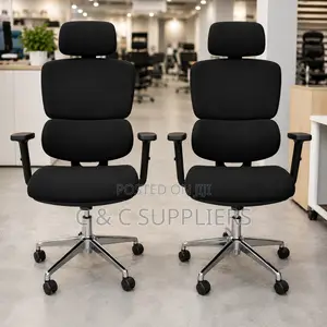 Orthopedic Ergonomic Fabric Office Chair.