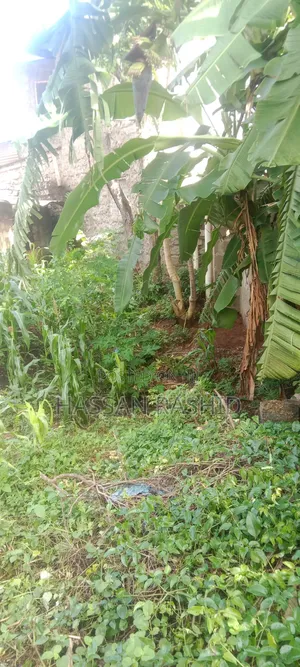 Residential Malindi Plot for Sale 50by100 Good Pricing Affordable.