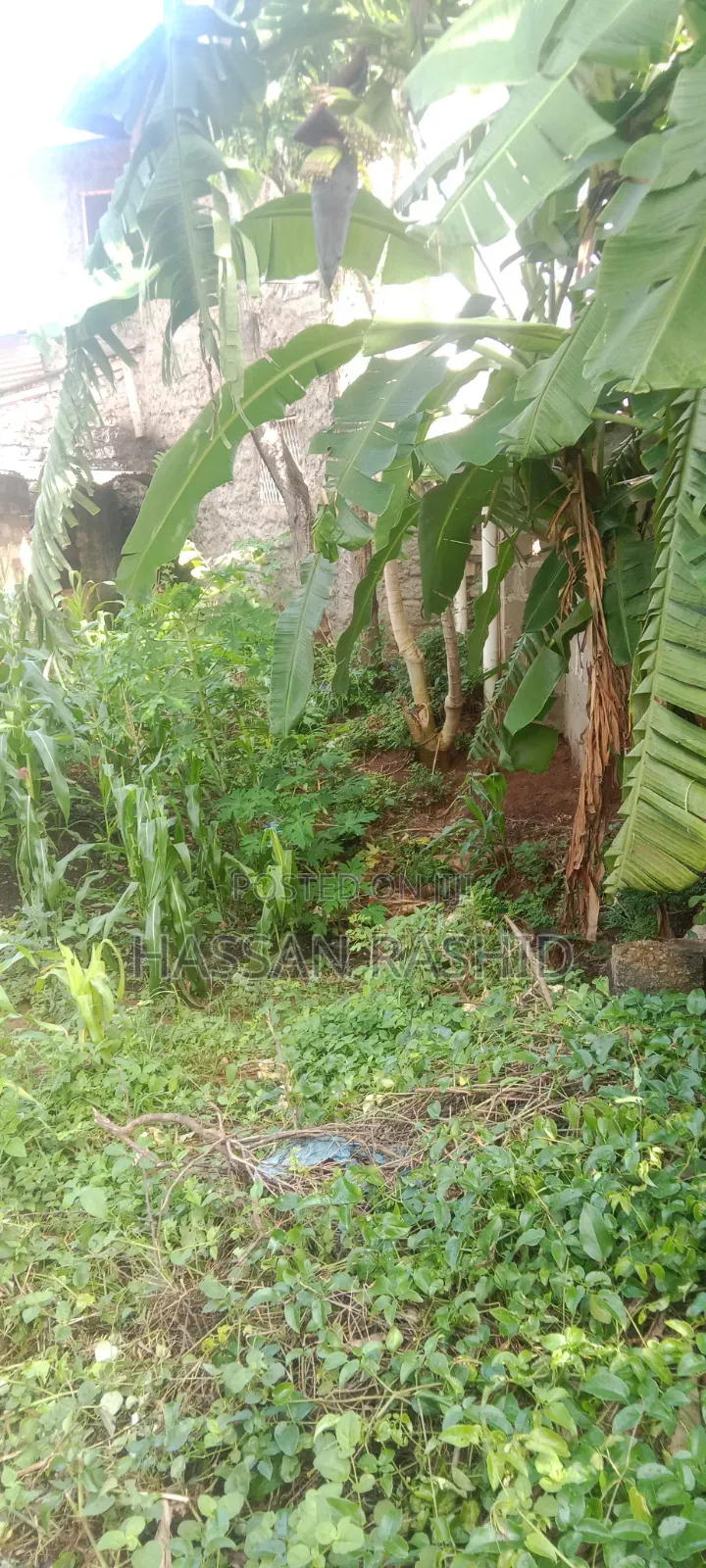 Residential Malindi Plot for Sale 50by100 Good Pricing Affordable.