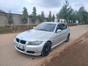 BMW 320i 2010 Silver