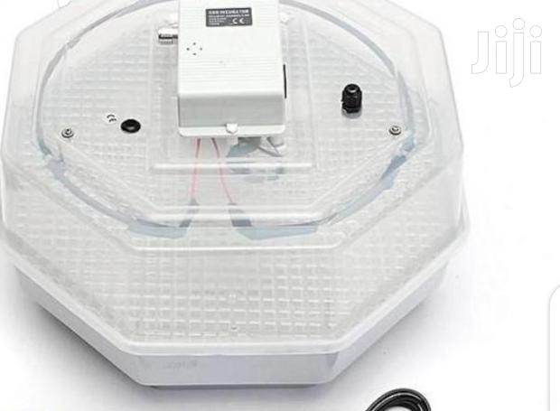 60 Egg Incubator