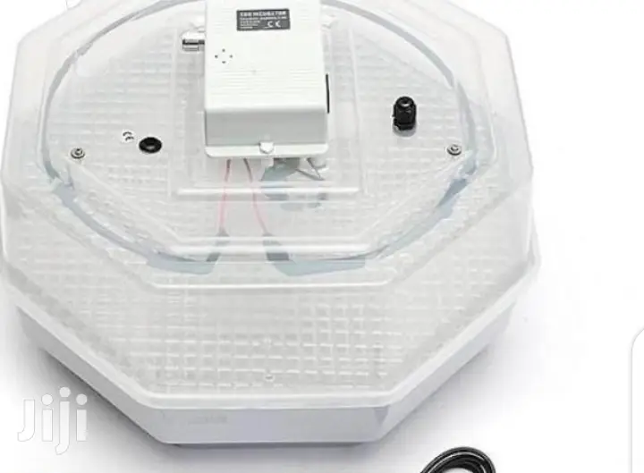 60 Egg Incubator