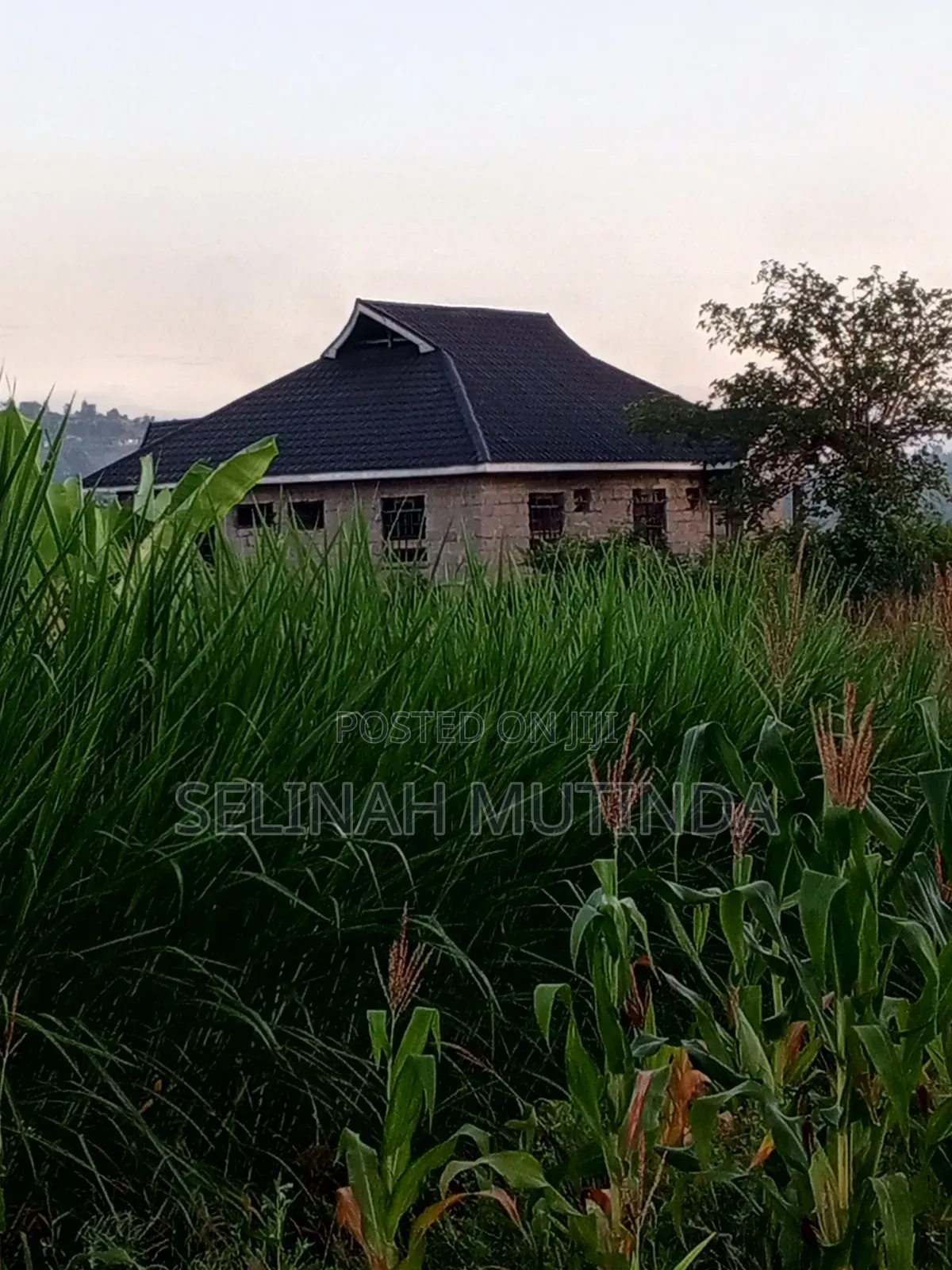 Kenol Plot Opposite Trotters Hotel