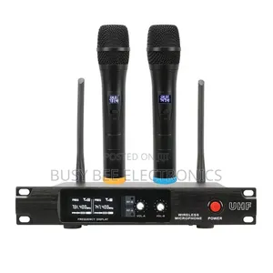Sh-300 High Quality Mini Microphone Wireless 2 Channel