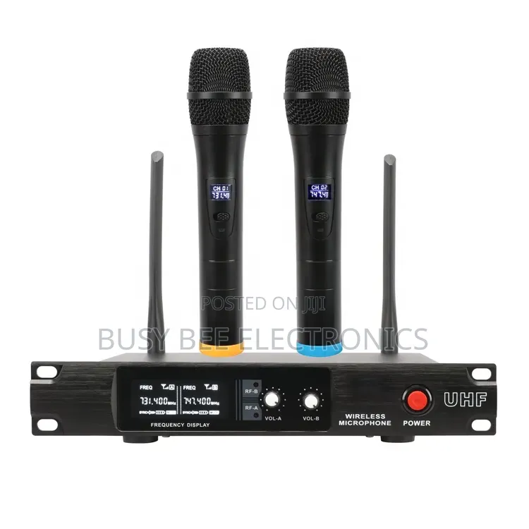 Sh-300 High Quality Mini Microphone Wireless 2 Channel
