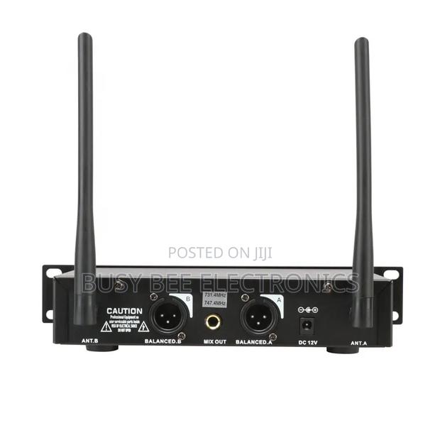 Sh-300 High Quality Mini Microphone Wireless 2 Channel - thumbnail 6