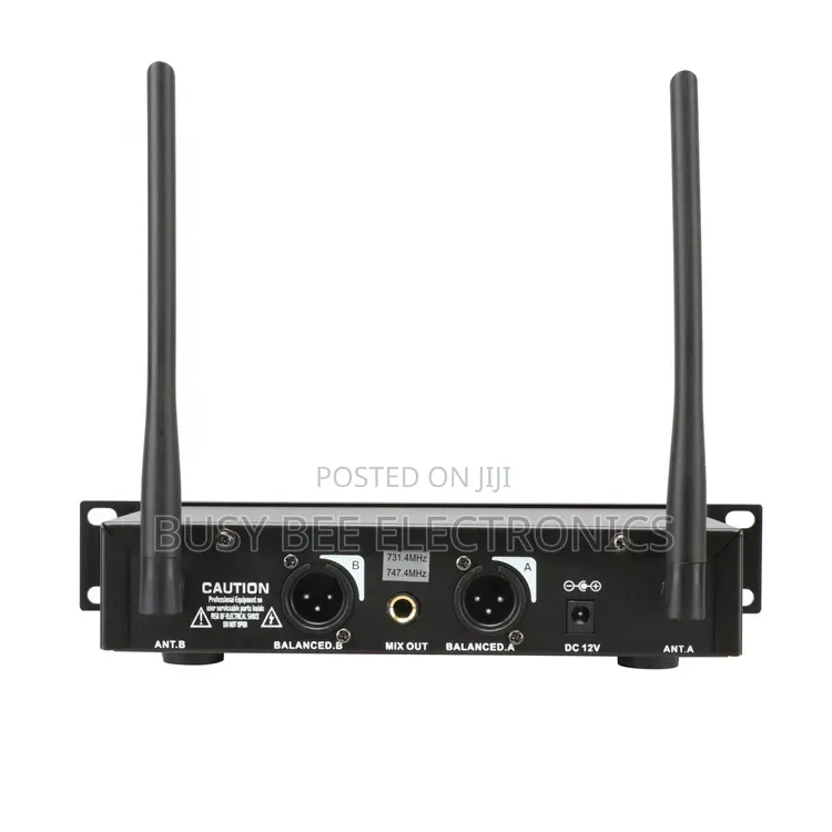 Sh-300 High Quality Mini Microphone Wireless 2 Channel