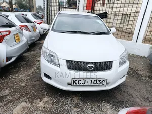 Toyota Corolla Fielder 2010 Pearl
