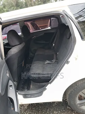 Toyota Corolla Fielder 2010 Pearl