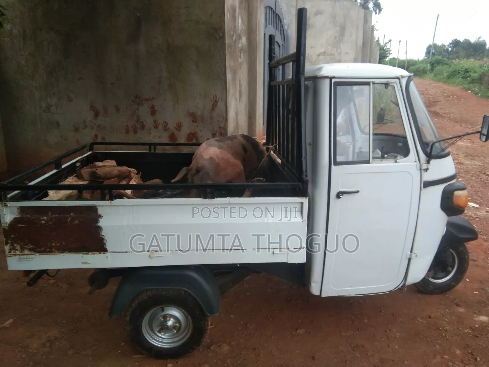 Piaggio Scooter 2023 White