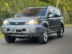 Nissan X-Trail 2.0 2006 Gray