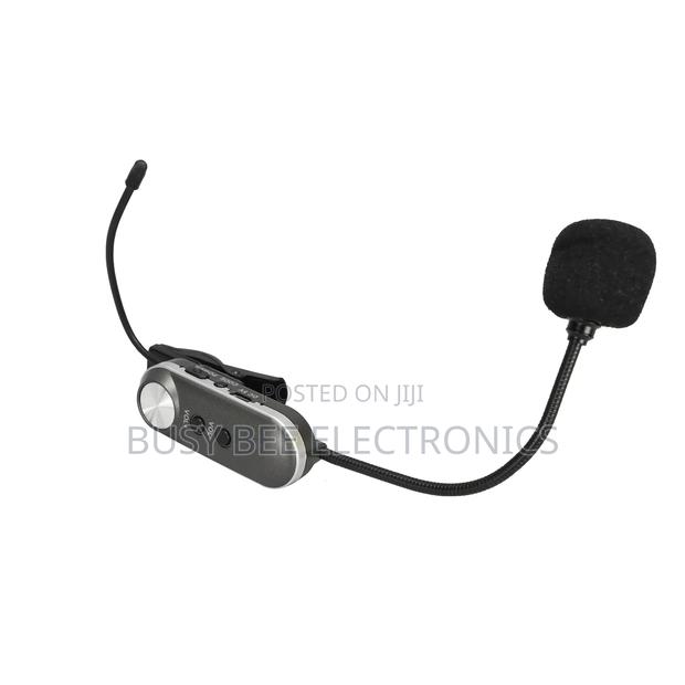 Portable Microphone Wireless Instrumental System Musical Instrument - thumbnail 4