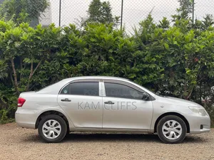 Toyota Axio 2010 Silver
