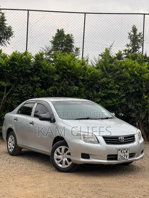 Toyota Axio 2010 Silver