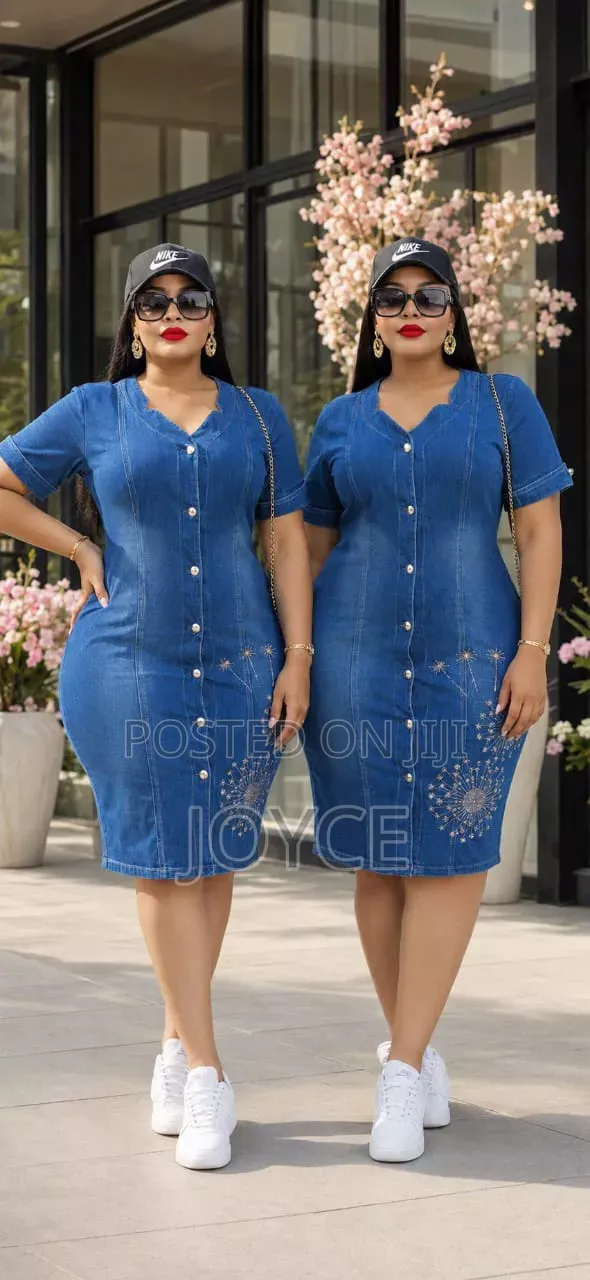 Fancy Denim Dress