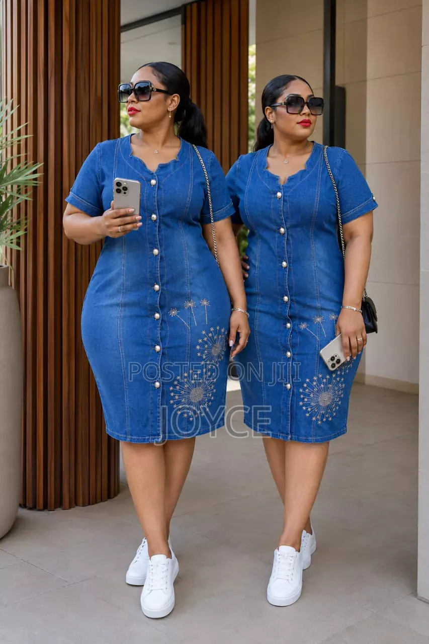 Fancy Denim Dress