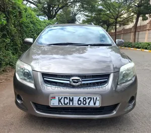 Toyota Corolla Fielder 2010 Gray