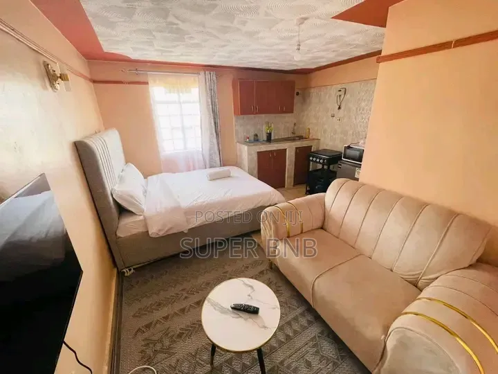 Studio and One Bedroom Airbnb Apartments Greenspot Gardens Kamakis
