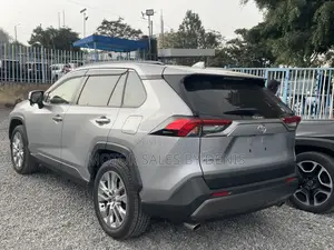 Toyota RAV4 2019 Silver