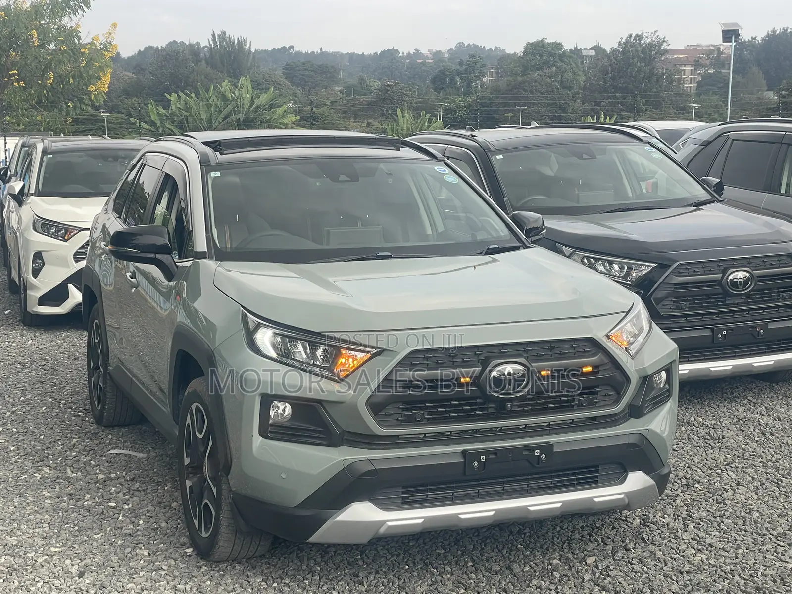 Toyota RAV4 Adventure 2019