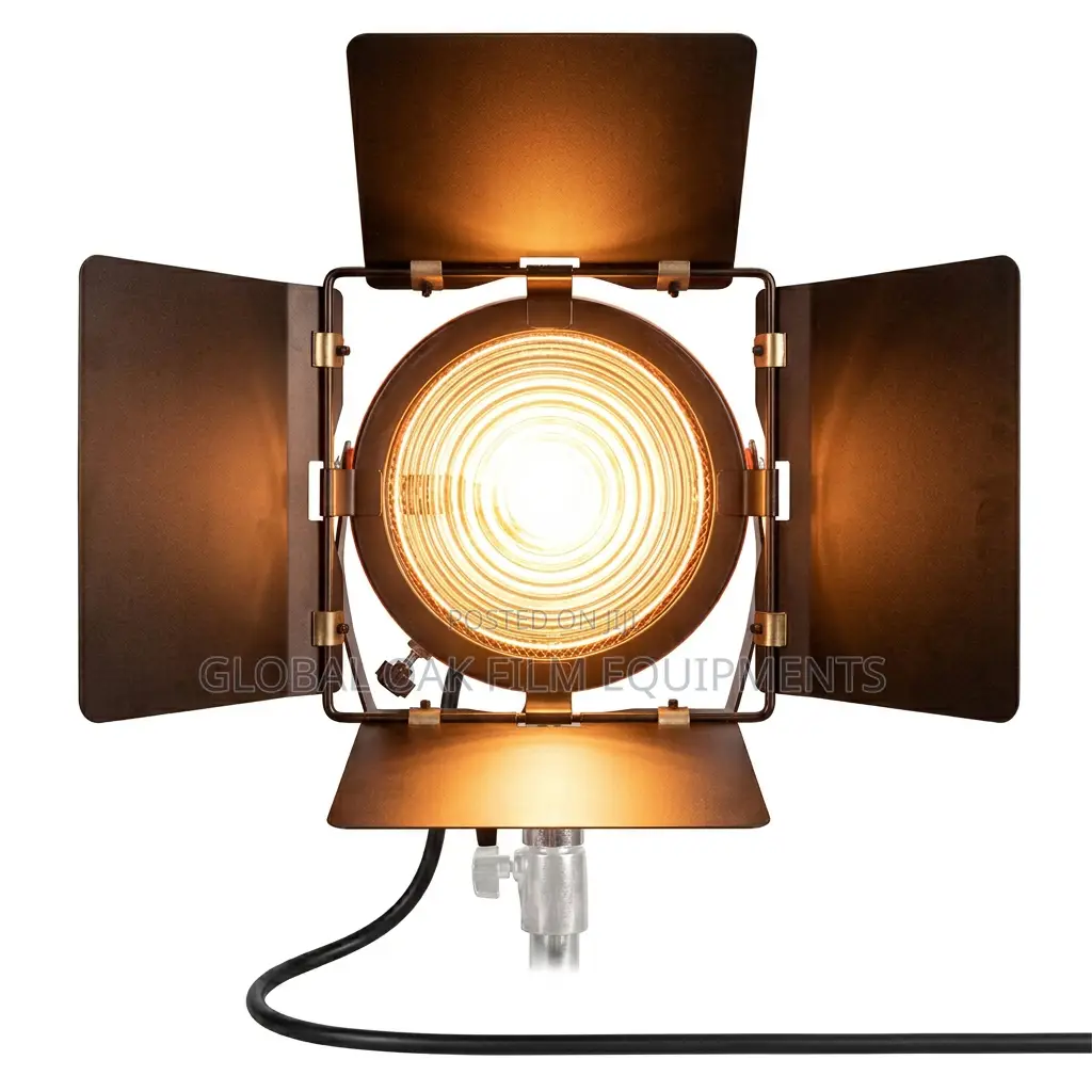 Professional 800w Redhead Tungsten Film Light With Dimmer Barn Doors