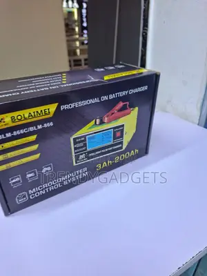 Blm866 Smart Battery Maintainer for Automotive Batteries