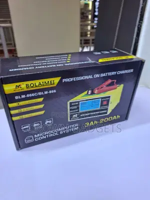 Blm866 Automatic 12v/24v Battery Charger and Repair Tool