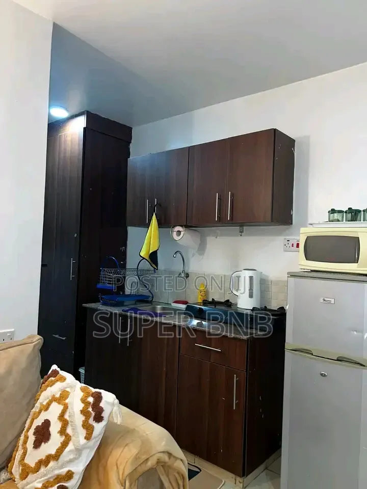 5 Days + at Studio Airbnb Apartment to Let in Ruaka