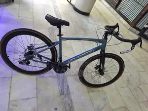 Newspeed 21-Speed Aluminium Alloy Frame Gravel Bike.