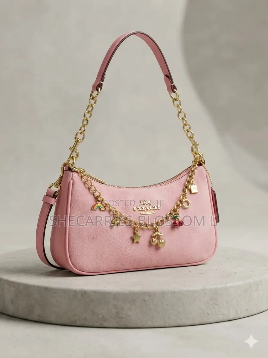 Aesthetic Women Handbags