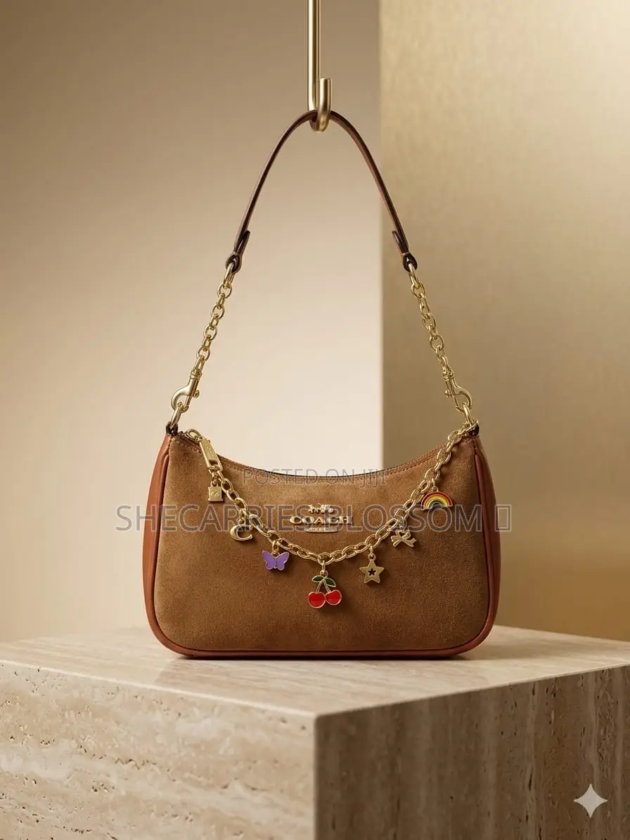 Aesthetic Women Handbags
