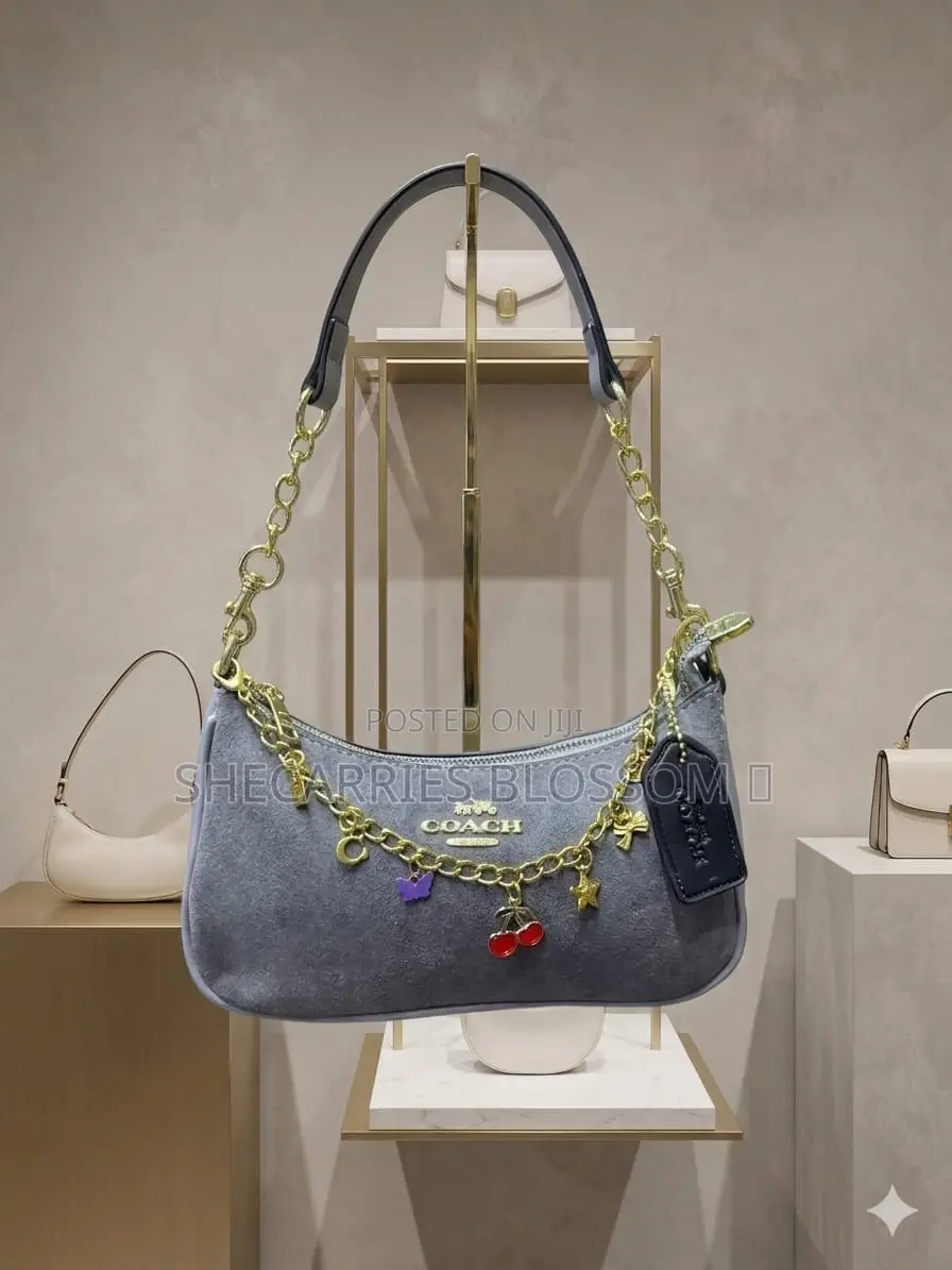 Aesthetic Women Handbags