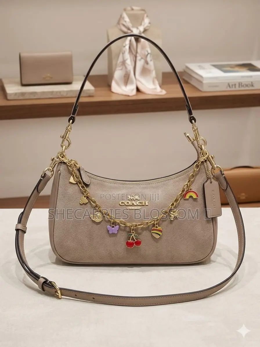 Aesthetic Women Handbags